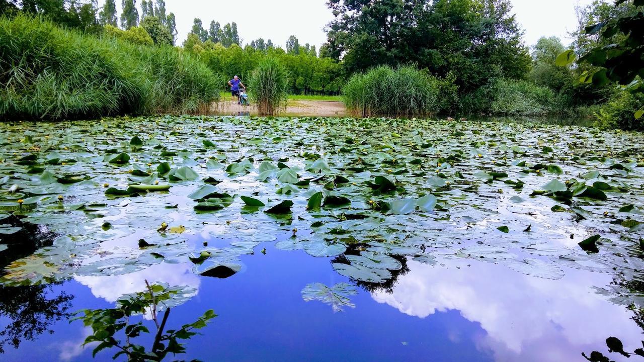 سستو سان جوفاني B&B La Casa Nel Parco المظهر الخارجي الصورة